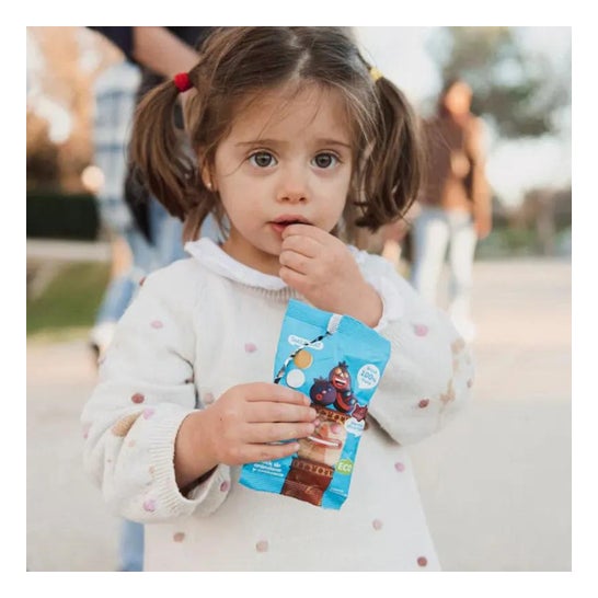 Smileat Triboo Snack Ecológico de Arándano y Manzana 25g