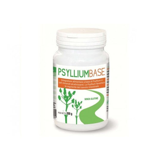 Avd Psyllium Base Polvo 200 g