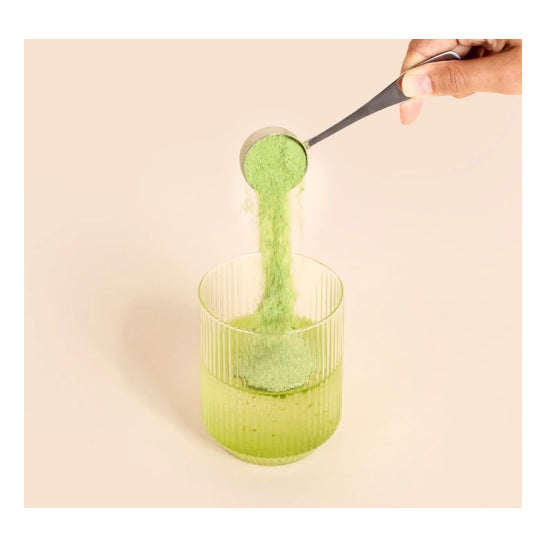 Matcha & Co Matcha Collagen Sabor Original 312g