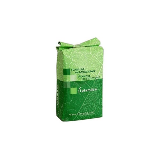 Plameca Té Verde Hierba Hoja Entera 1Kg