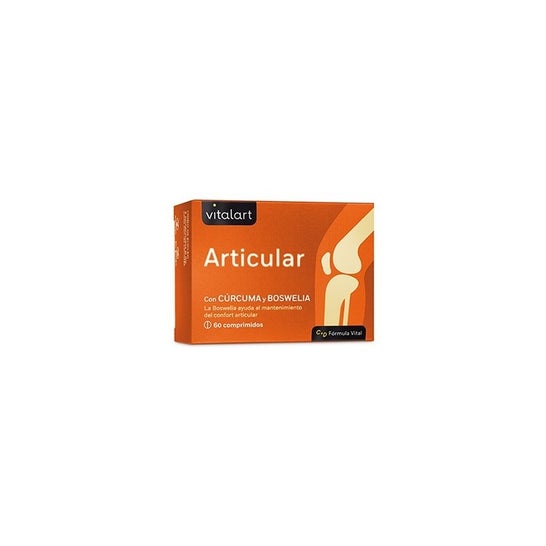 Vitalart Articular 60comp