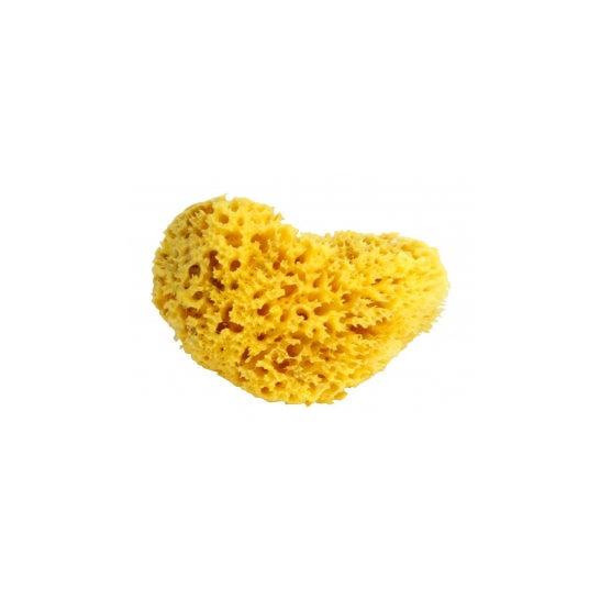 Esponja Natural Estipharm Modelo grande