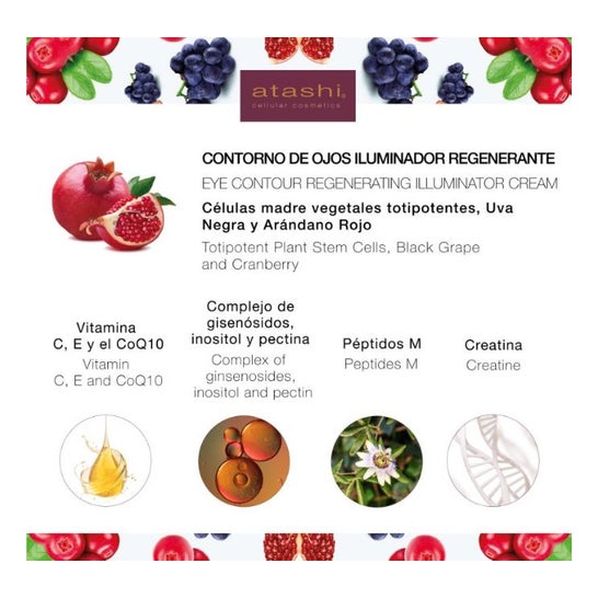 Atashi Terapia Antioxidante Longévité Contorno de Ojos 15ml