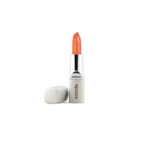 Soultree Barra de Labios 817 Cantaloupe 4,5g