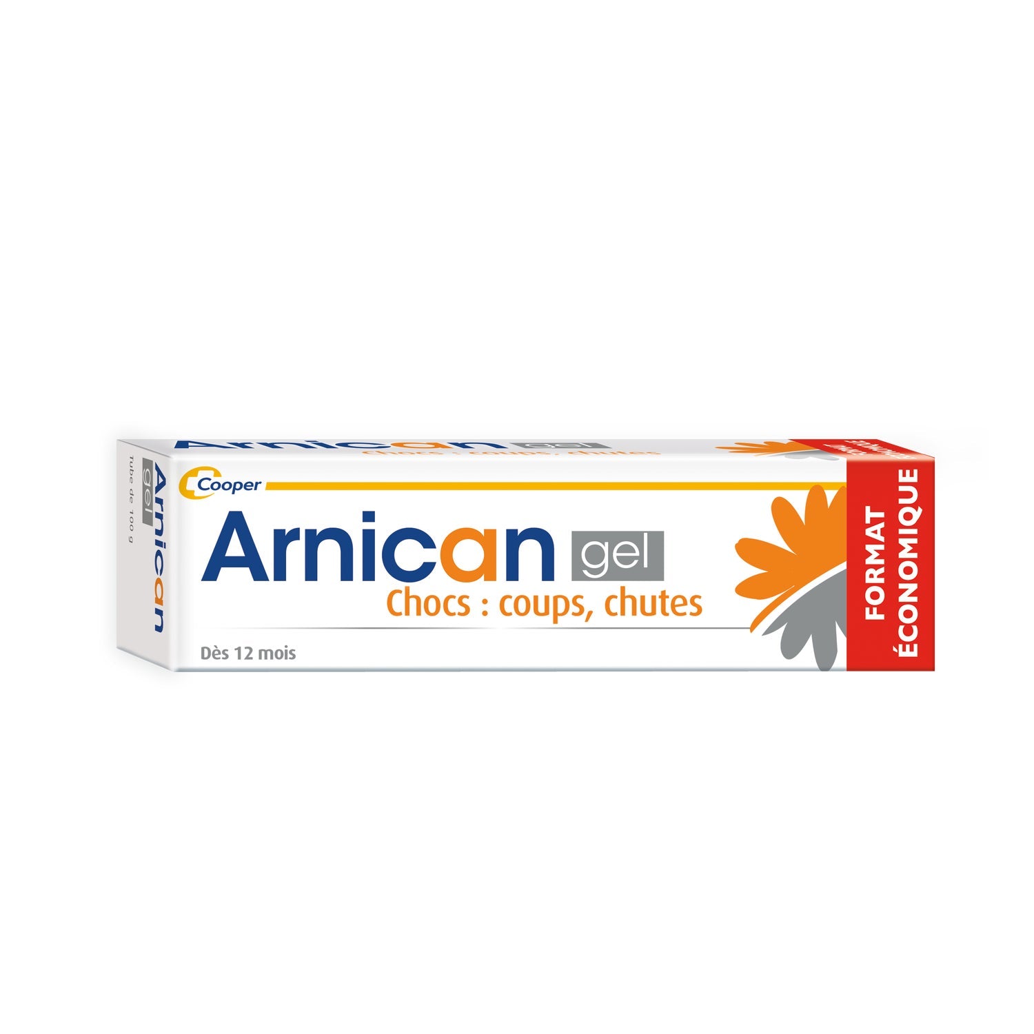 Arnican Gel 100g