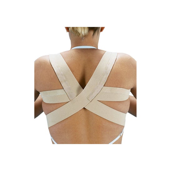 Orliman Actius Espaldera Talla 5 1 ud