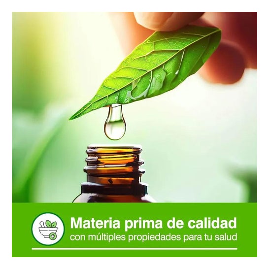 Soria Natural Aceite Esencial De Menta 15 ml
