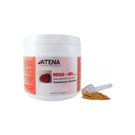 Atena Reishi ganoderma Mrl en Polvo 250 g