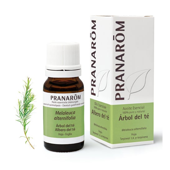 Pranarôm Aceite Esencial de Árbol de Té 10ml