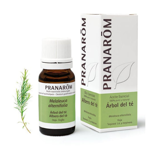 Pranarôm Aceite Esencial de Árbol de Té 10ml