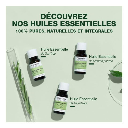 Pranarôm Aceite Esencial de Árbol de Té 10ml