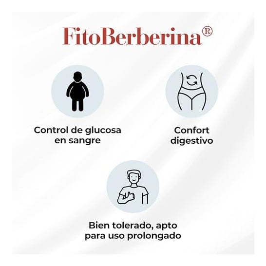 100% Natural FitoBerberina 30caps