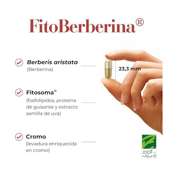 100% Natural FitoBerberina 30caps