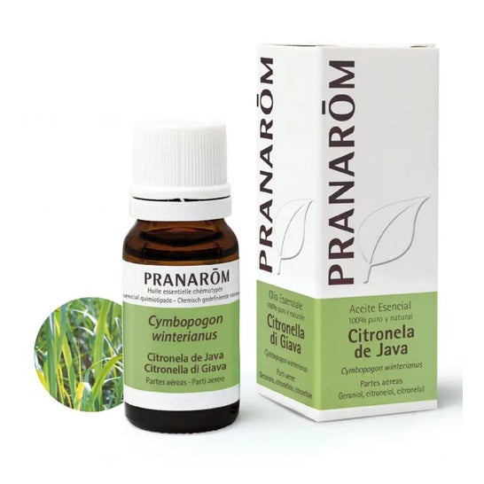 Pranarôm Aceite Esencial de Citronela de Java 10ml
