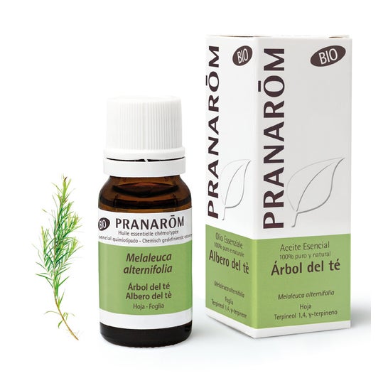 Pranarôm Aceite Esencial de Árbol de Té BIO 10ml