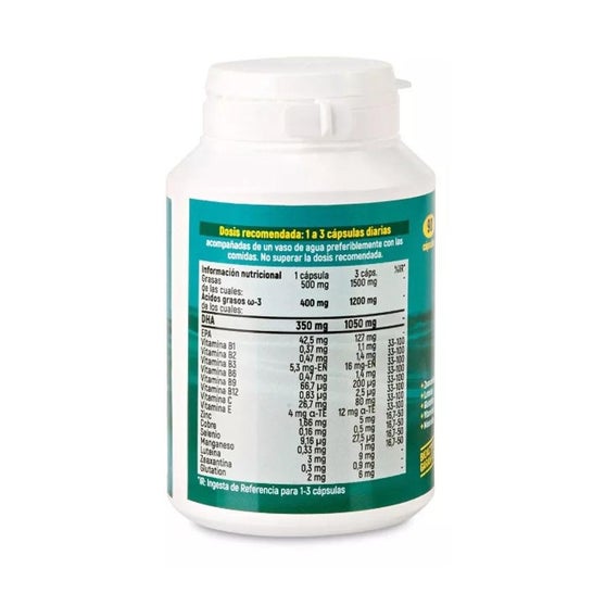 Brudy Dha 500 mg Triglicérido Antiox 90 caps
