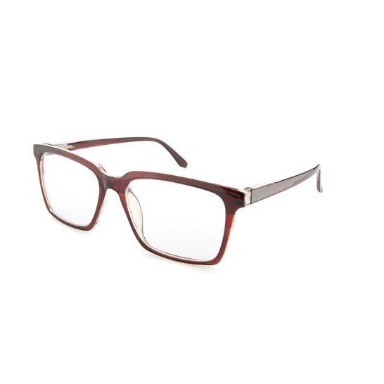 Nordic Vision Gafas Borgholm +2.50 1ud