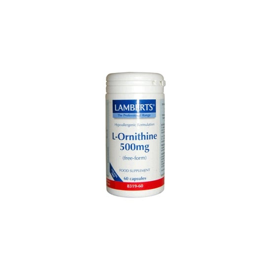 Lamberts Ornitina Hcl 500 Mg 60 caps