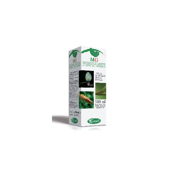 Sangalli Betula Pubescens 100 ml