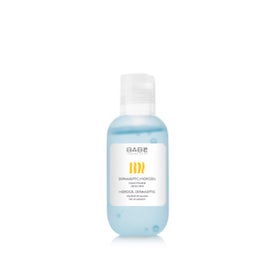 Babé Hidrogel Dermaseptic Gel Hidroalcohólico 100ml