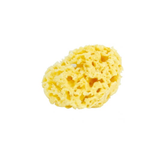 Estipharm Spongey Thumb Nat Thumb Mm