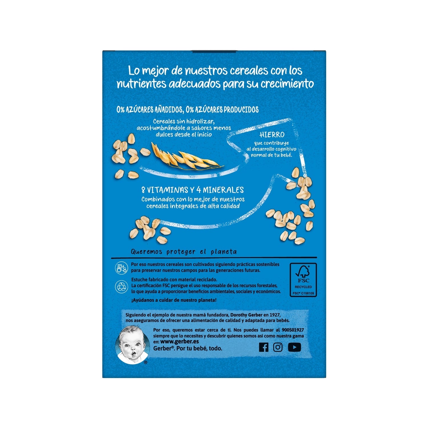 Gerber Multicereales 0% 0% 270g