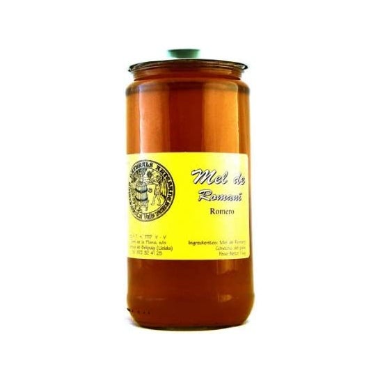 Cal Valls Miel Eucalipto 1 Kg
