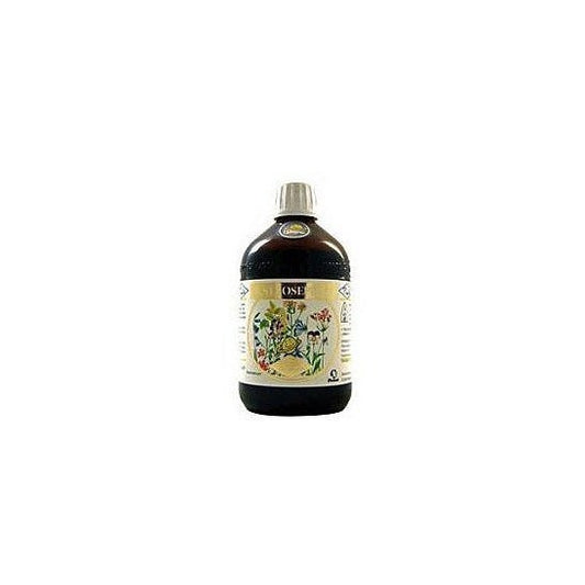 Bio San Joseph D/I Digestivo 510g