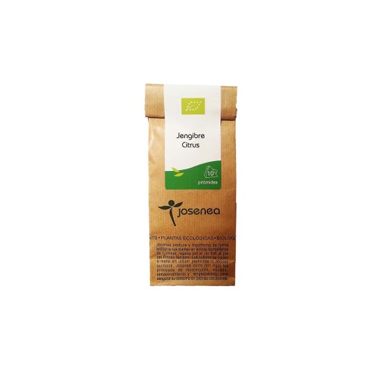 Josenea Jengibre Citrus BIO 10 pirámides