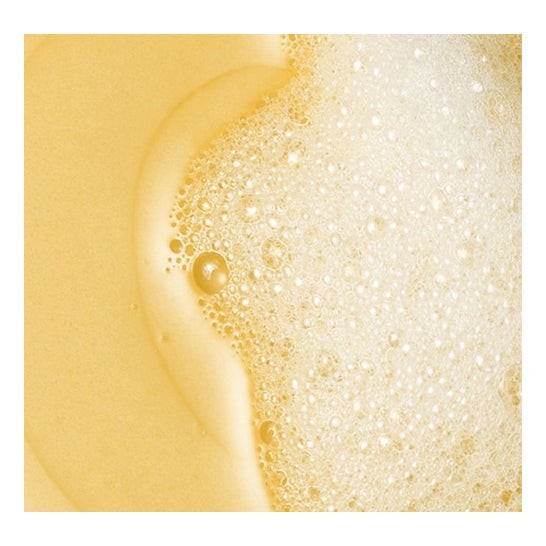 Vichy Dercos Technique Anticaspa DS Champú Cabello Normal Graso 200ml
