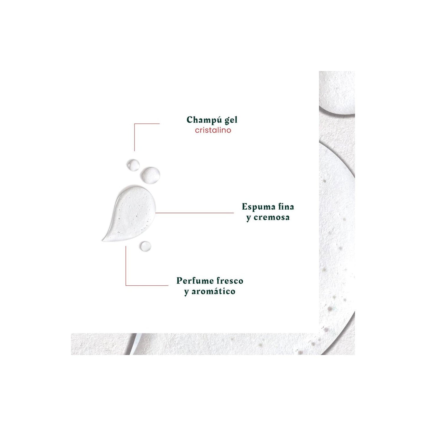 René Furterer Neopur Champú Equilibrante Anticaspa Caspa Grasa 150ml