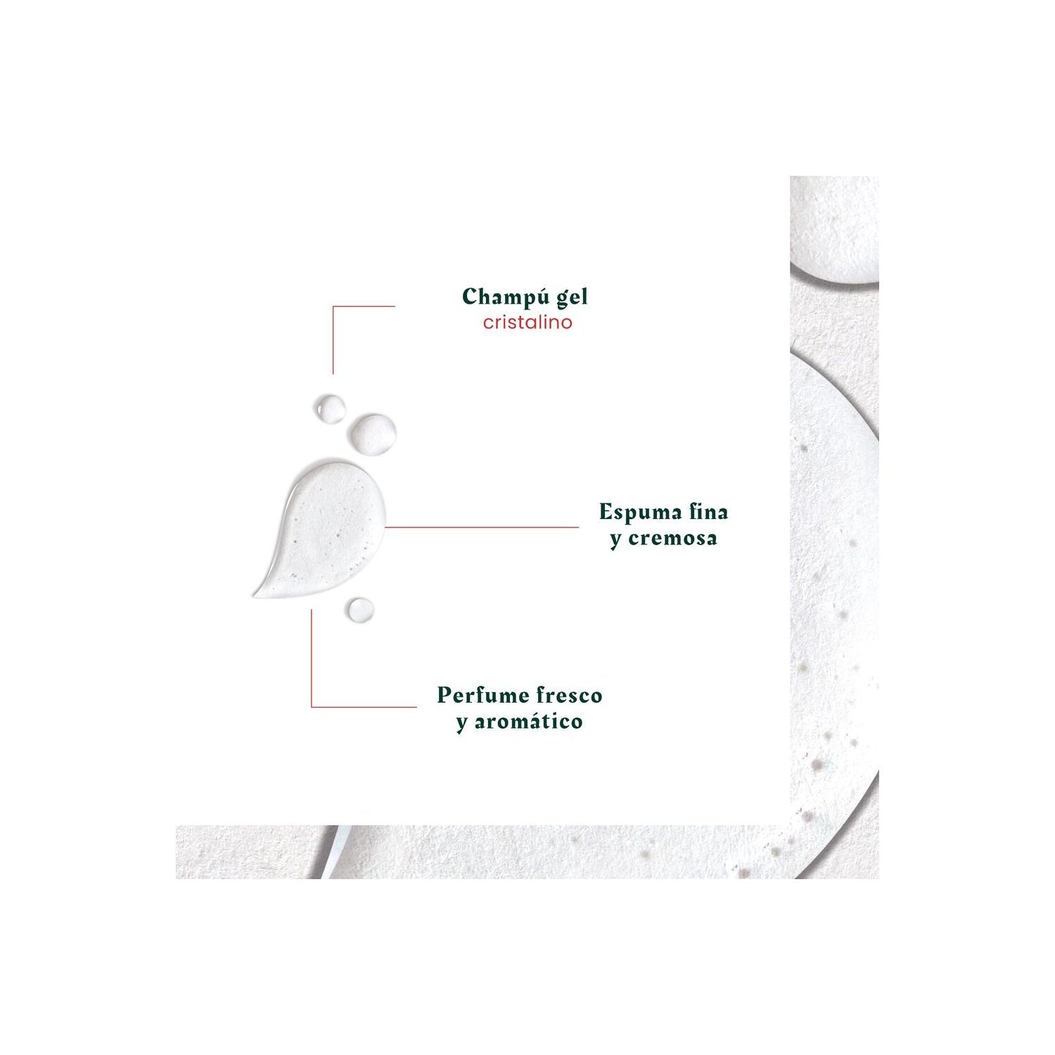René Furterer Neopur Champú Equilibrante Anticaspa Caspa Grasa 150ml