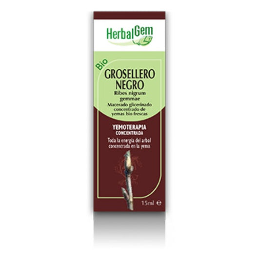 Herbalgem Grosellero Negro Bio 15ml