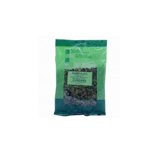 Plameca Espliego Flor Extra 50g