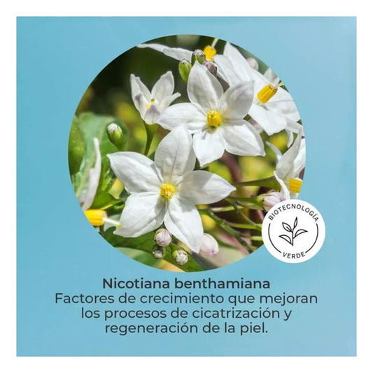 Segle Skin Factor Sérum 30ml