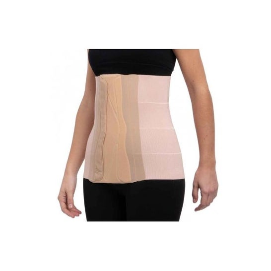 Prim Faja 4 Bandas Talla Xl 1 ud