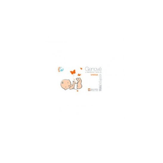 Genove venda umbilical 3uds