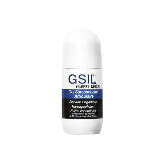 Aquasilice Gsil Freeze Roll'On Gel Concentrado Articular 40ml