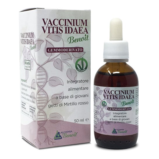 Alchimia Benoit Vaccinium Vitis glicerina Macerada 50 ml