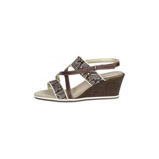 Scholl Brade 40