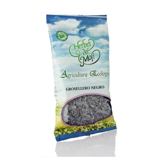 Grosellero Negro En Hojas 40 g