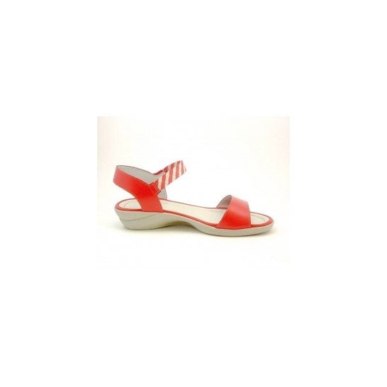 Scholl Elenia Napallea W Nº39