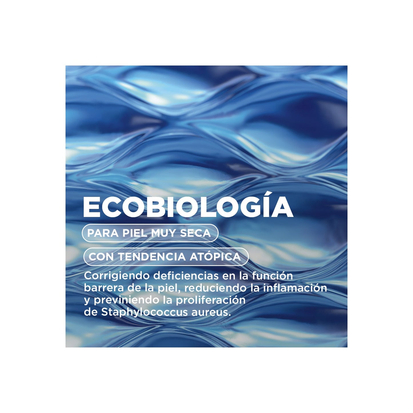 Bioderma Atoderm Gel Ducha Eco-Recarga 1L