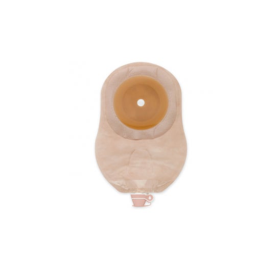 Hollister Moderma 29500 Bolsa transparente Rit 15/55