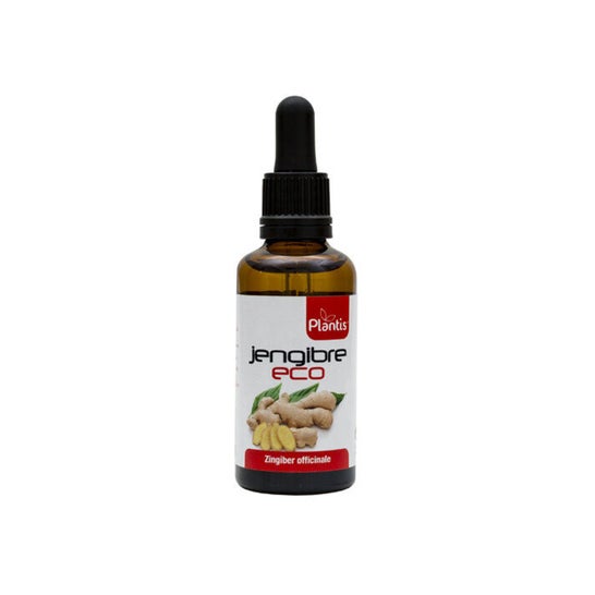 Plantis Extracto Jengibre Eco 50 ml