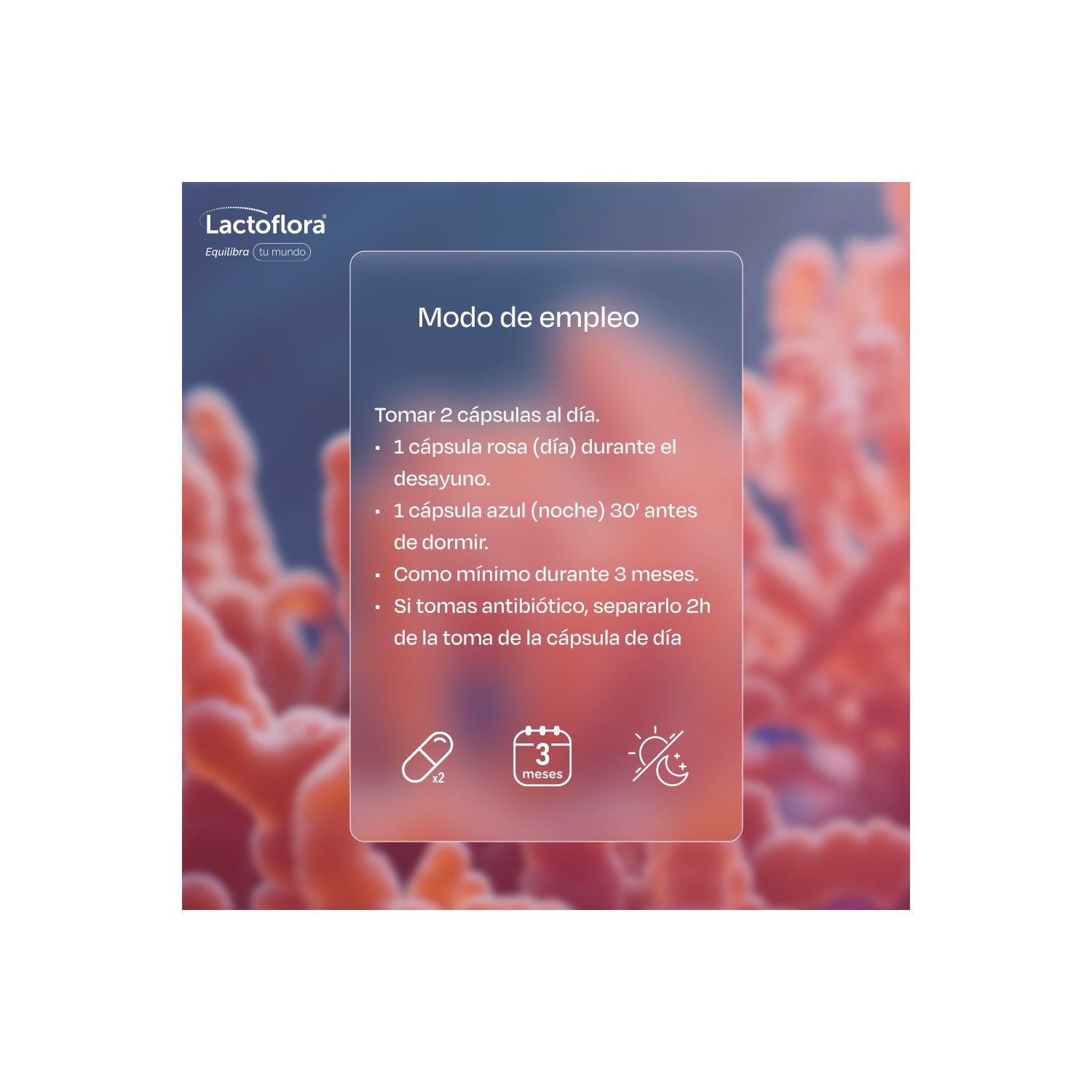 Lactoflora Menopausia Día & Noche 30+30 Cáps