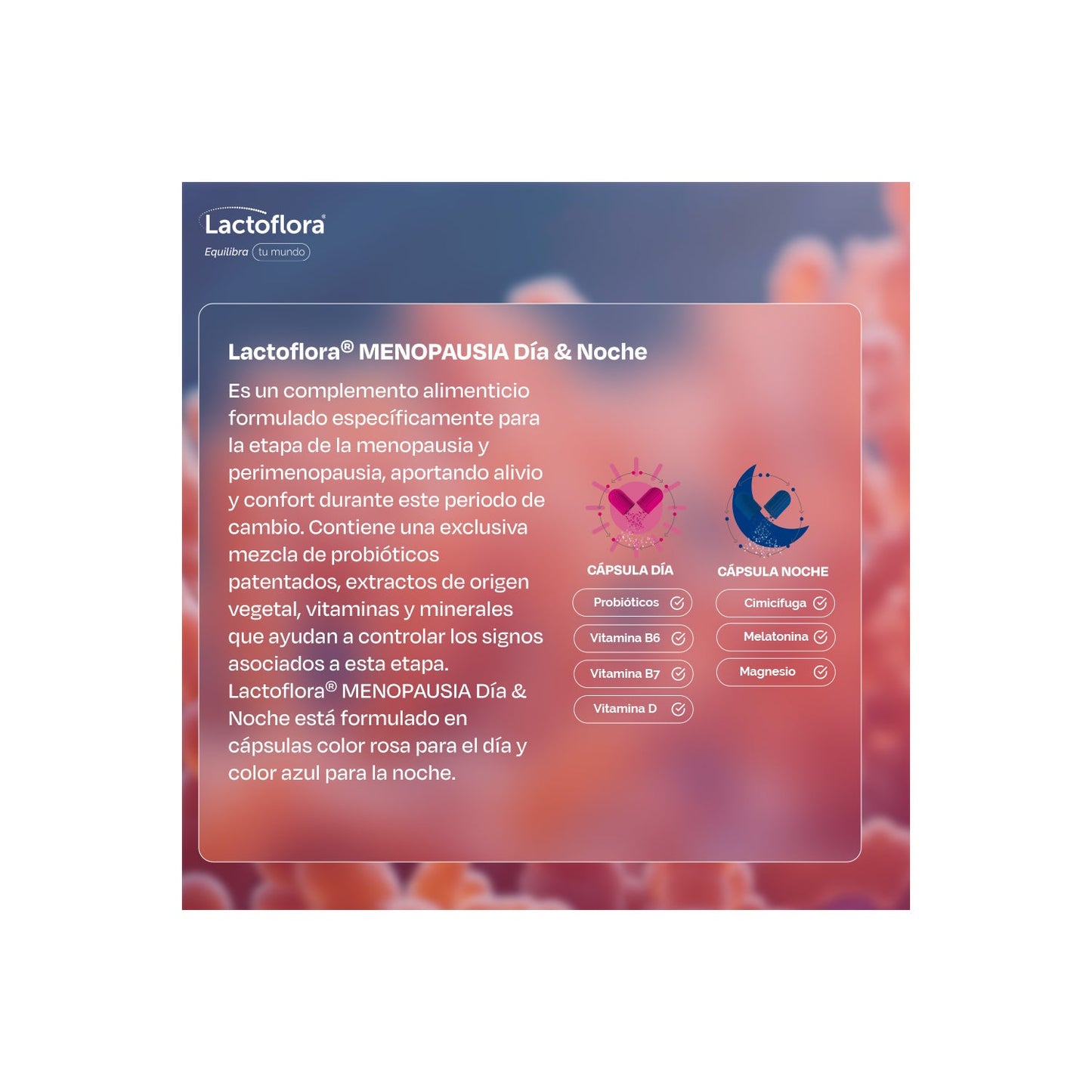 Lactoflora Menopausia Día & Noche 30+30 Cáps