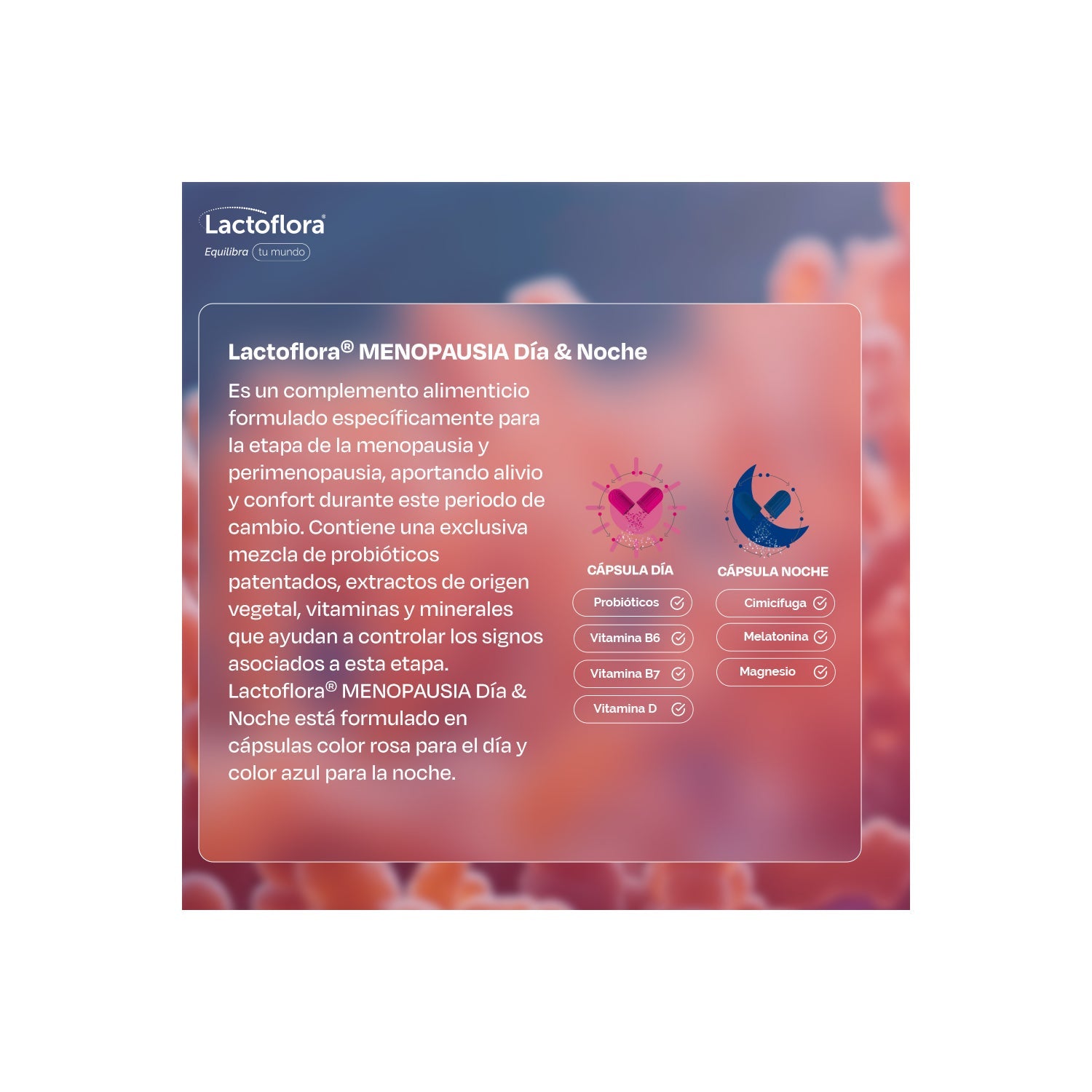 Lactoflora Menopausia Día & Noche 30+30 Cáps