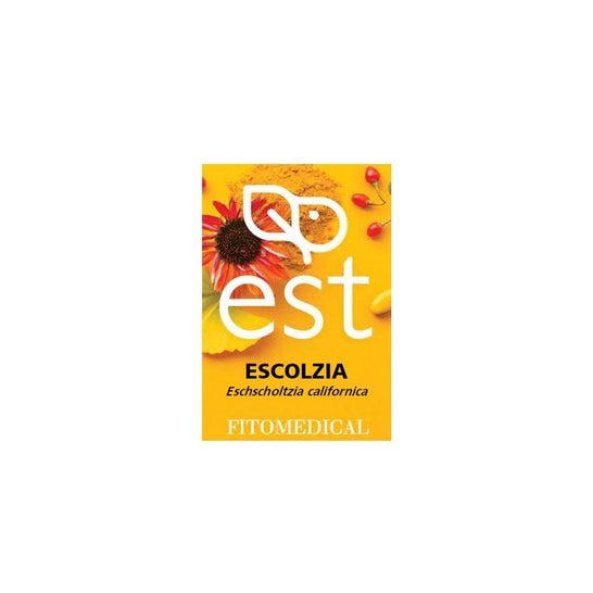 Fitomedical Equinácea Extracto Seco 60 comp