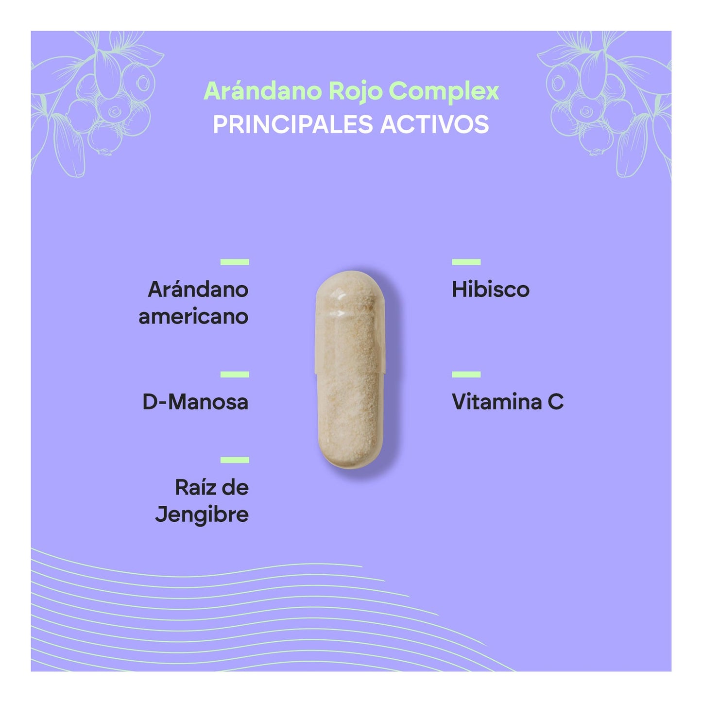 Nutralie Arándano Rojo con Vitamina C y D-Manosa 60caps